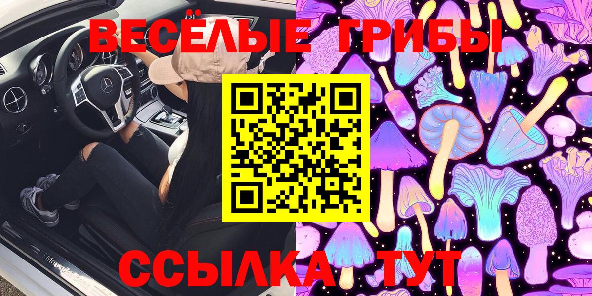 Псилоцибиновые грибы ЛСД Волгодонск