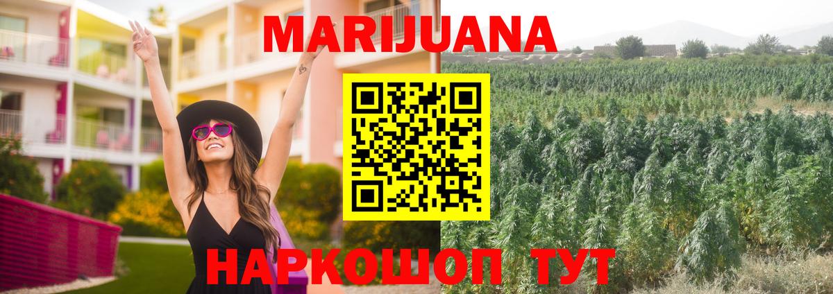 Бошки Шишки план Волгодонск